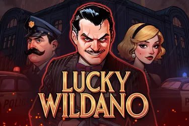 Live casino table view with dealer and multi-camera feed